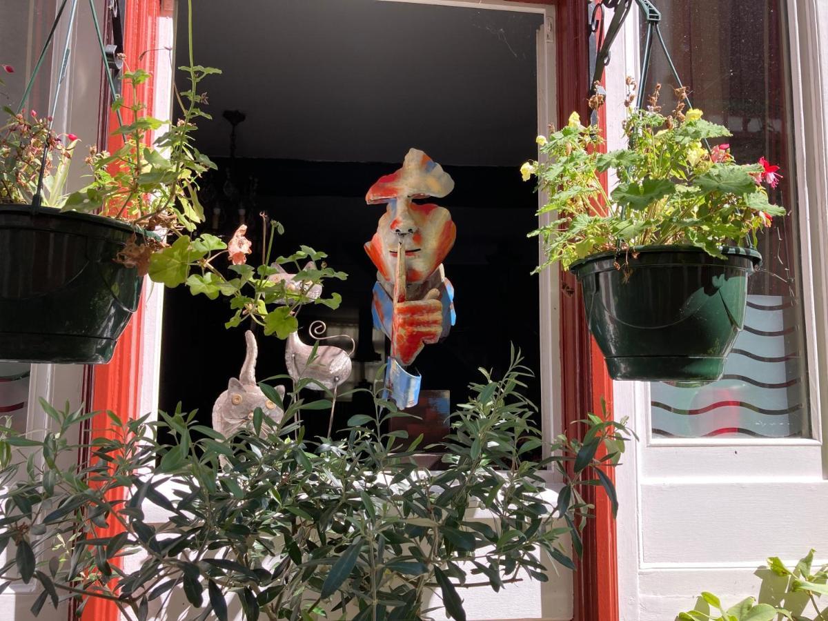Les Orchidees Bed & Breakfast Salies-de-Bearn Ngoại thất bức ảnh
